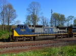 CSX#7371